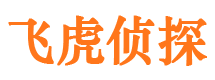 长泰市调查公司